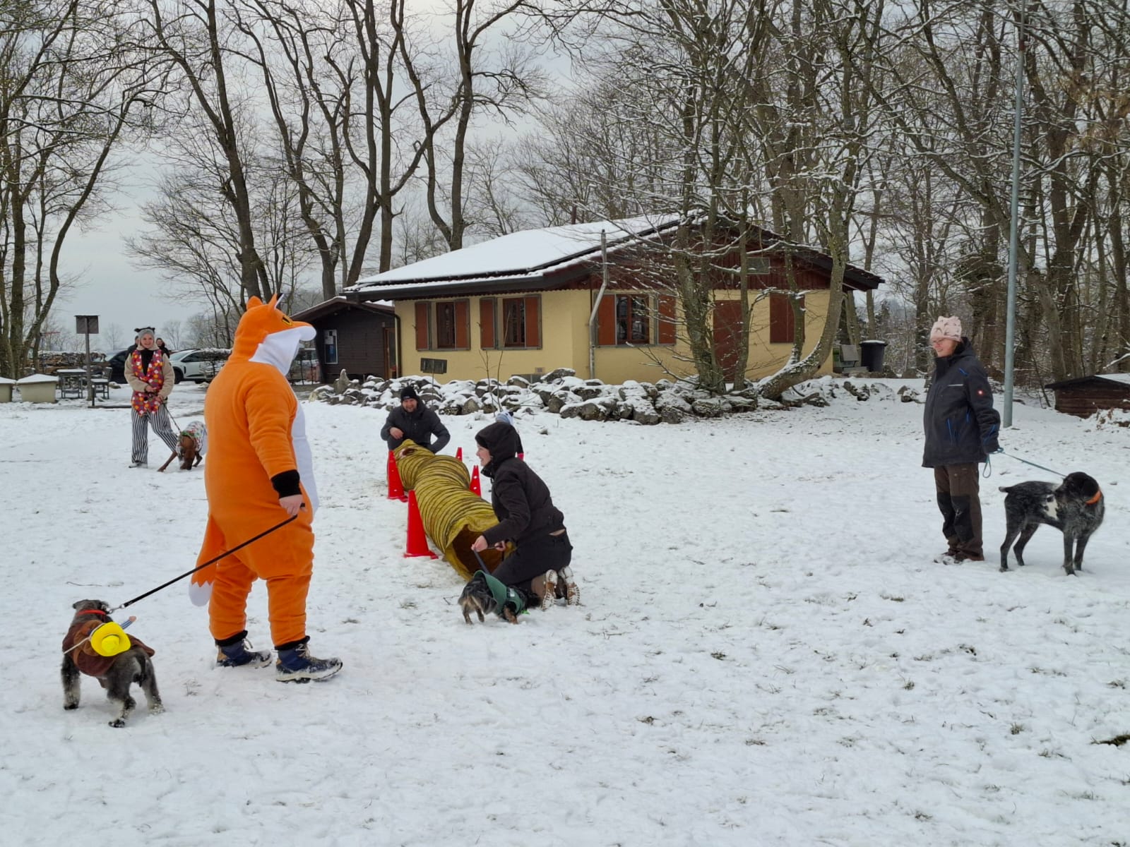 Impressionen Fasnet 2025